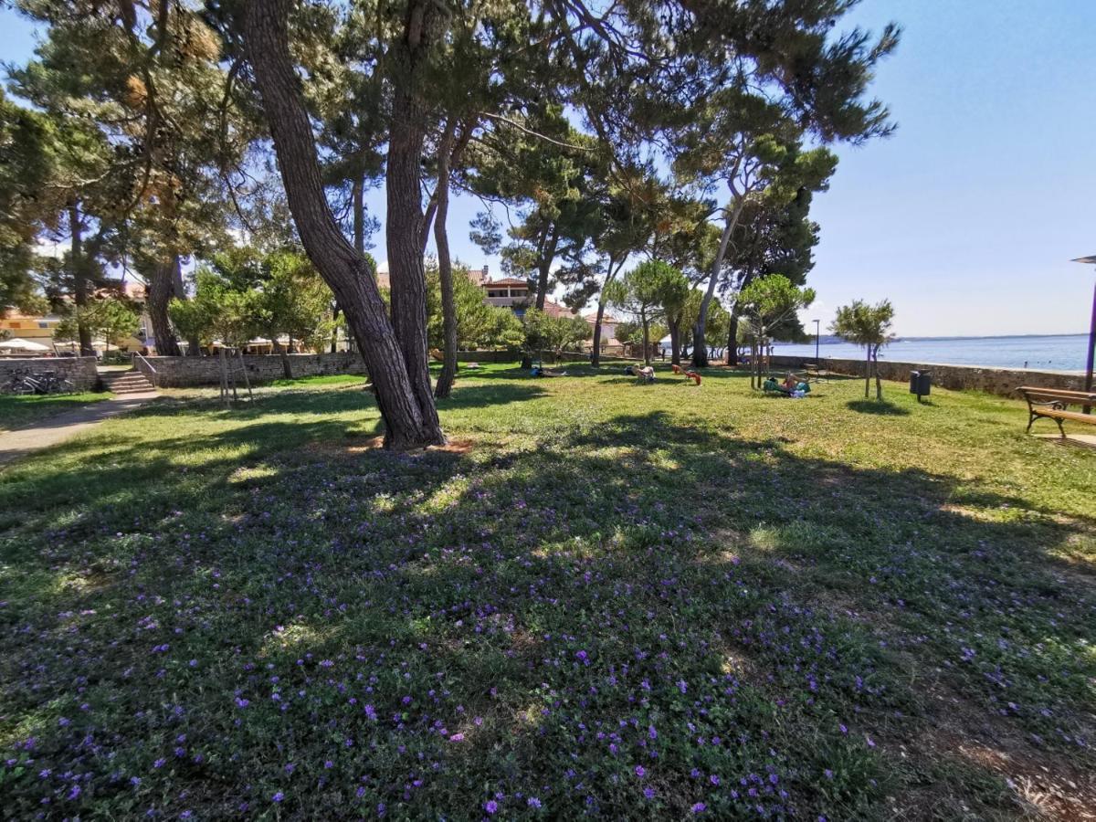 Stella Deluxe Superior 5 Star Apartment, Your Piece Of Heaven By The Sea & Park, With Sea View Novigrad Istria Buitenkant foto
