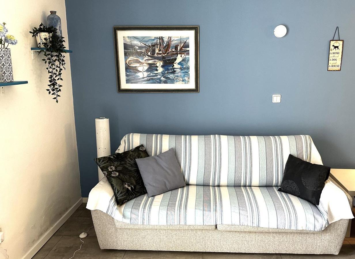Stella Deluxe Superior 5 Star Apartment, Your Piece Of Heaven By The Sea & Park, With Sea View Novigrad Istria Buitenkant foto